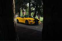 Ford Mustang 2.3 EcoBoost Cabrio 2017