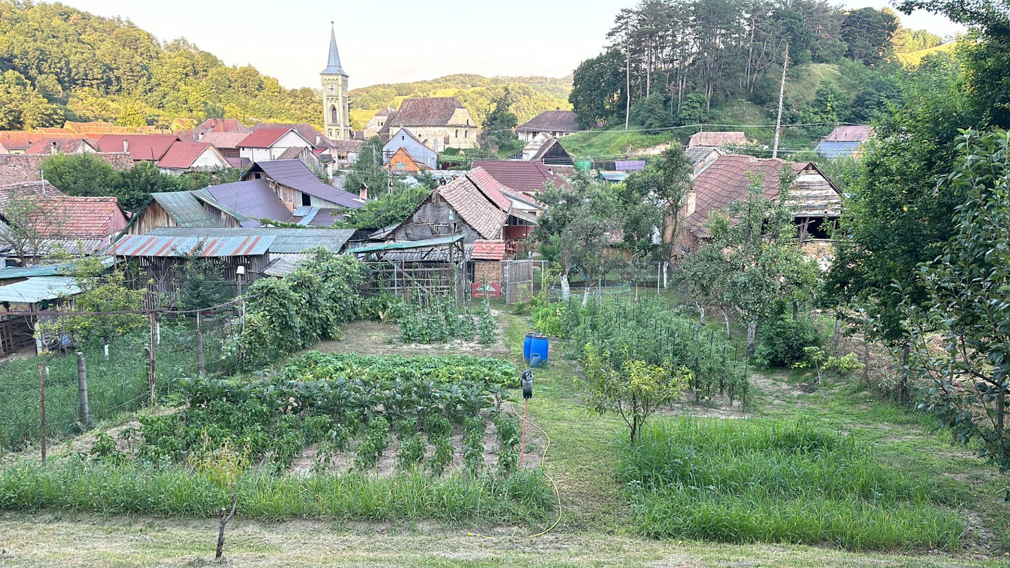 Casă săsească de vânzare în Nemsa