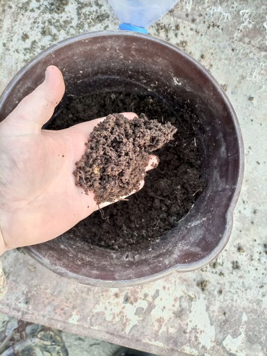 Биогумус. Г. Кызылорда. 2022