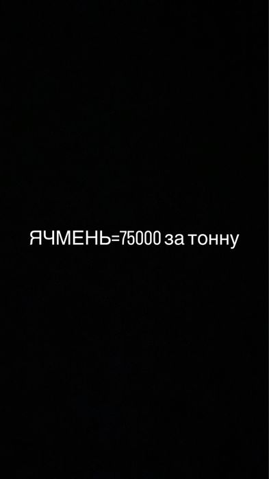 Продаю ячмень премиум класса