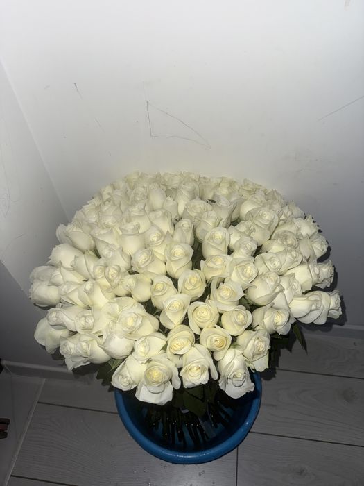 Роза 101шт белого цвета