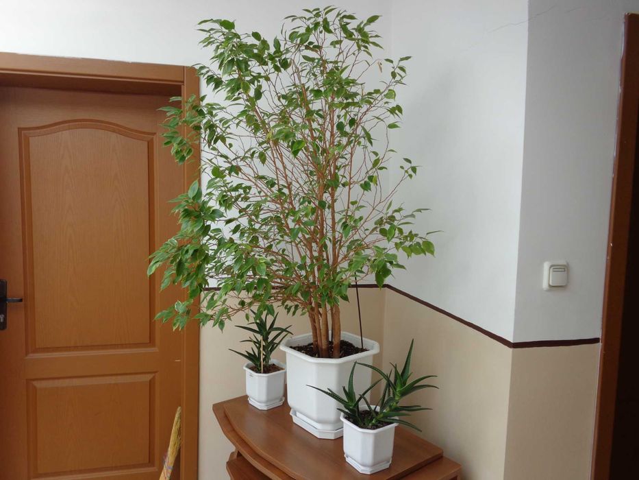 Sony Cyber-shot DSC-W730 16.1 МРх