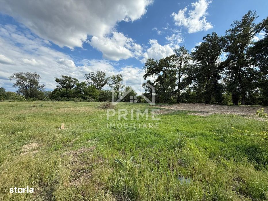 Teren intravilan de vanzare – 6.000 mp, Sebes