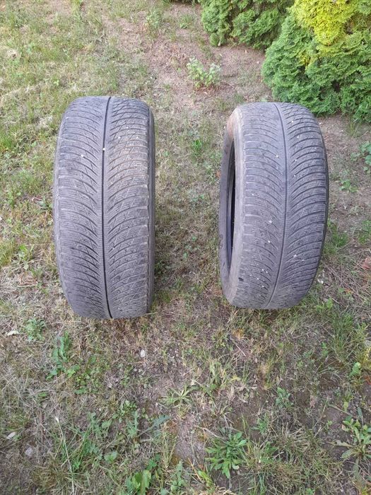 Michelin Pilot Alpin 5/Pirelli Sottozero 3 245/50 R19 Run Flat
