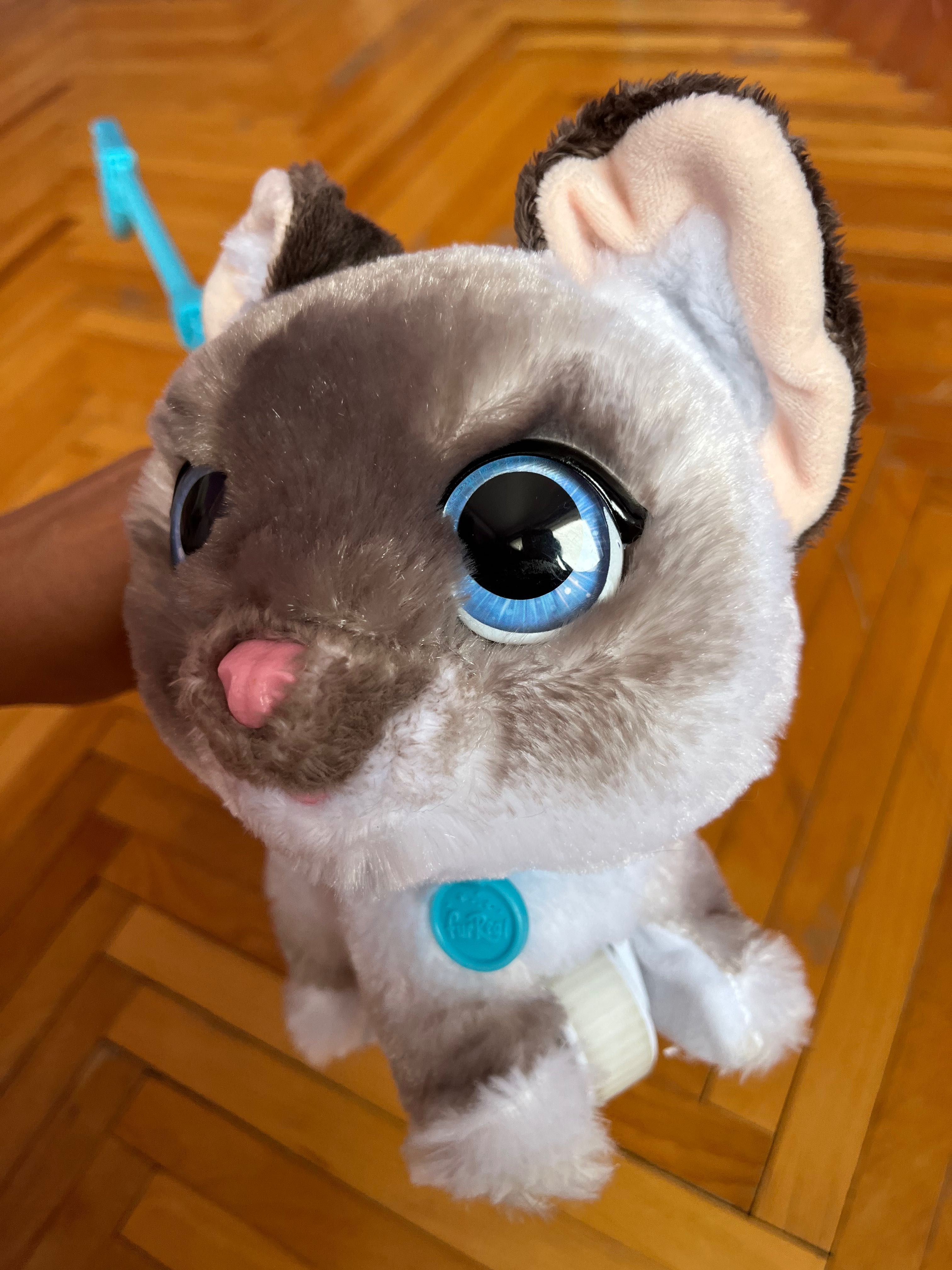 Интерактивно коте