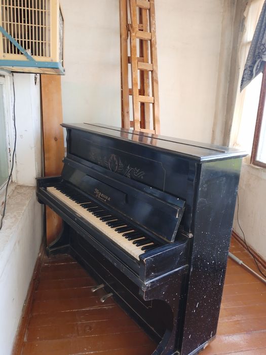 Панино сотлади Украина