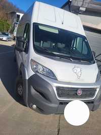 FIAT ducato maxi