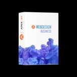 Pachet All Inclusive Webdesign Business 60 €