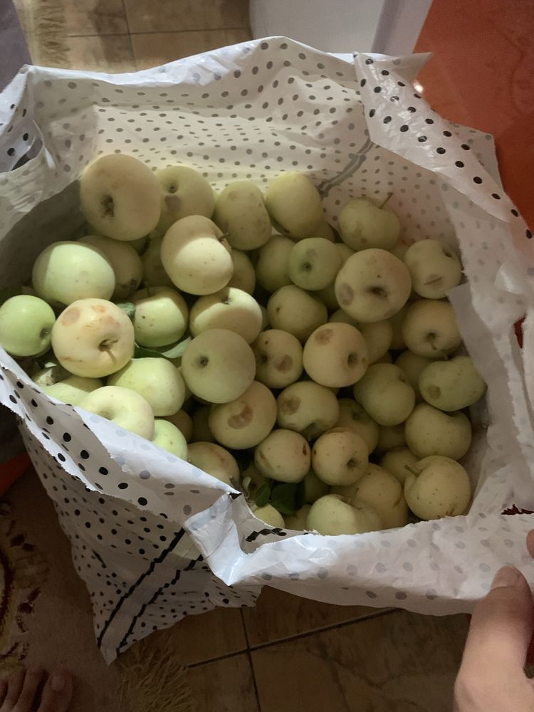 Яблоко продается