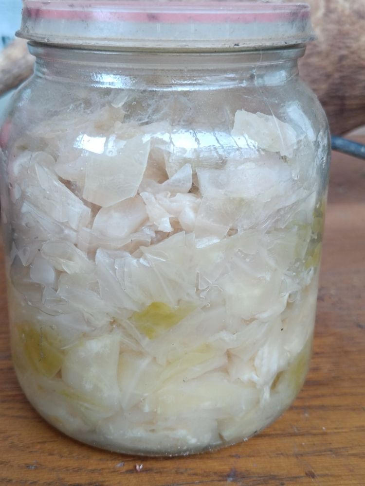 Черен бъз и кисело зеле