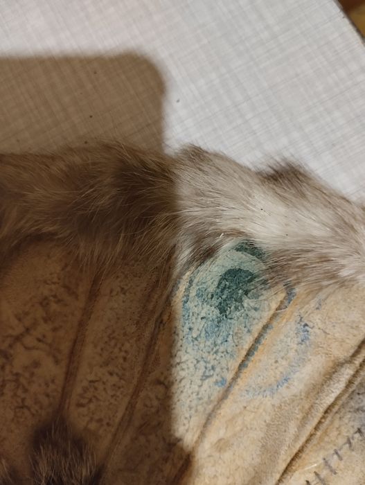 Воротник из шын шылы натуральный российский заводского производства