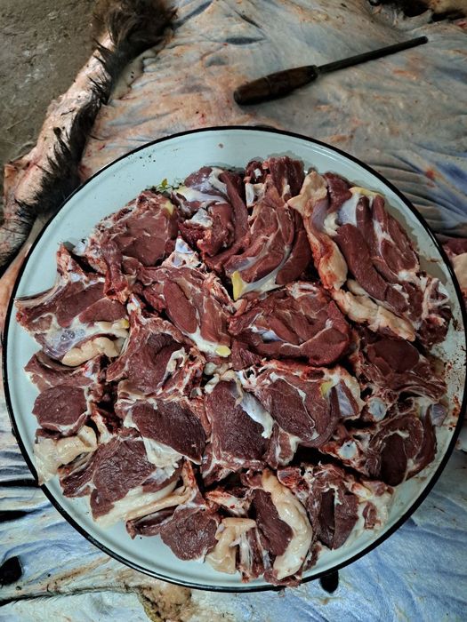 Qassoblik xizmati bor bemalol aloqaga chiqila