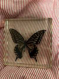 Пеперуда във епокси/смола