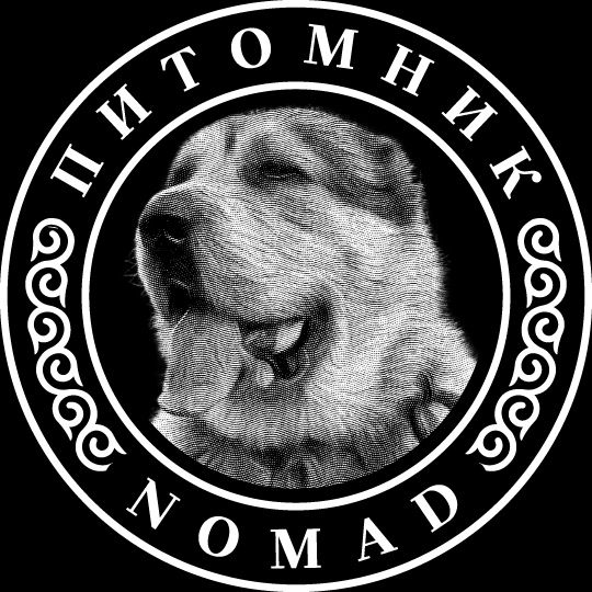 Питомник предлагает к продаже щенков Волкодава