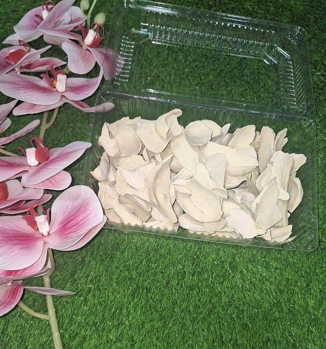 Kesak,gilvata,glina,mel (yer mazasi, yomgir mazasi)100gr 20.000