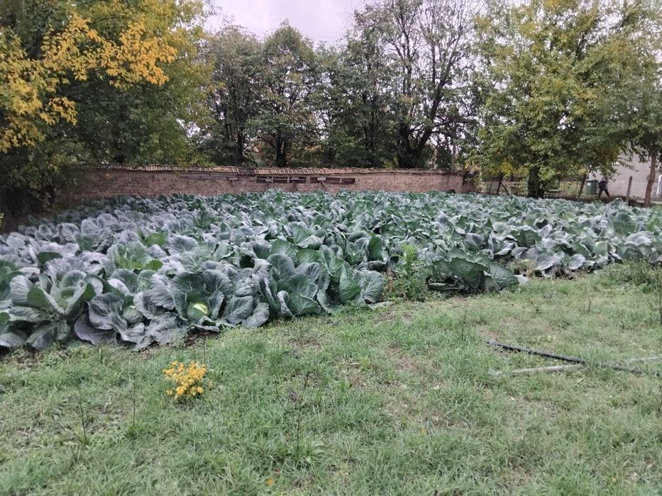 Продава се Къща в Варна, Левски - 100 кв.м за 500 €/кв.м - Снимка #19