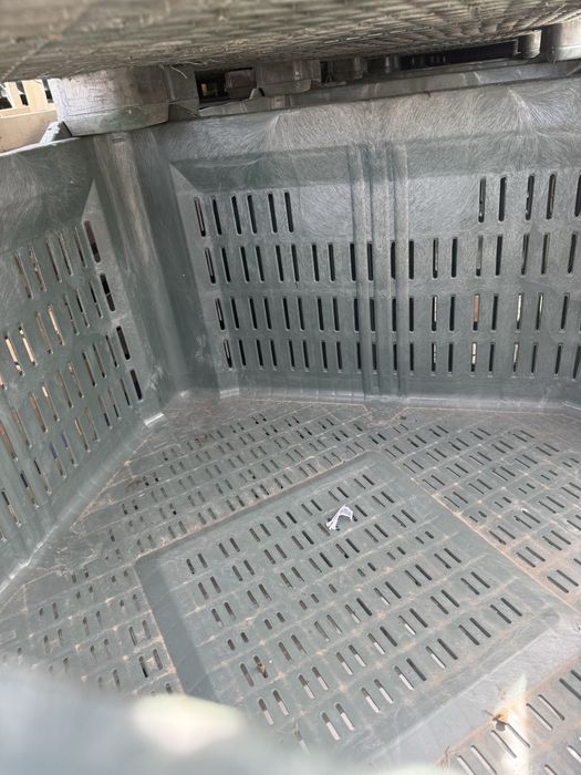 Boxpaleti plastic