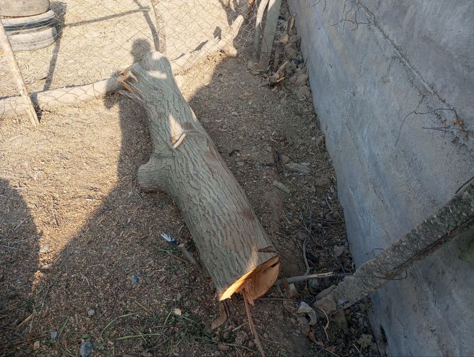 Yongʻoq kundasi qurilish uchun