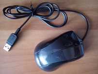 Mouse -uri  - Brasov