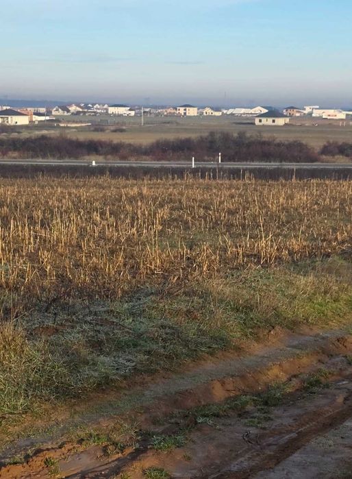 Teren 5 755 mp intravilan de vanzare urgent 8 Euro per metru patrat