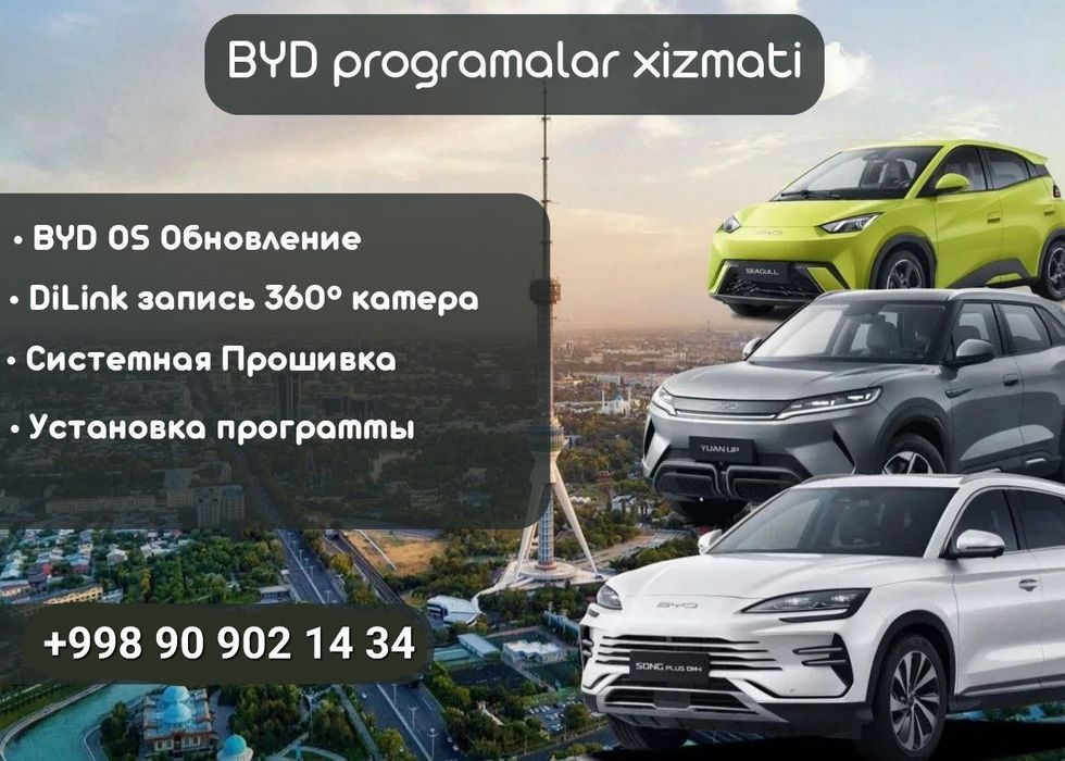 Руссификация BYD