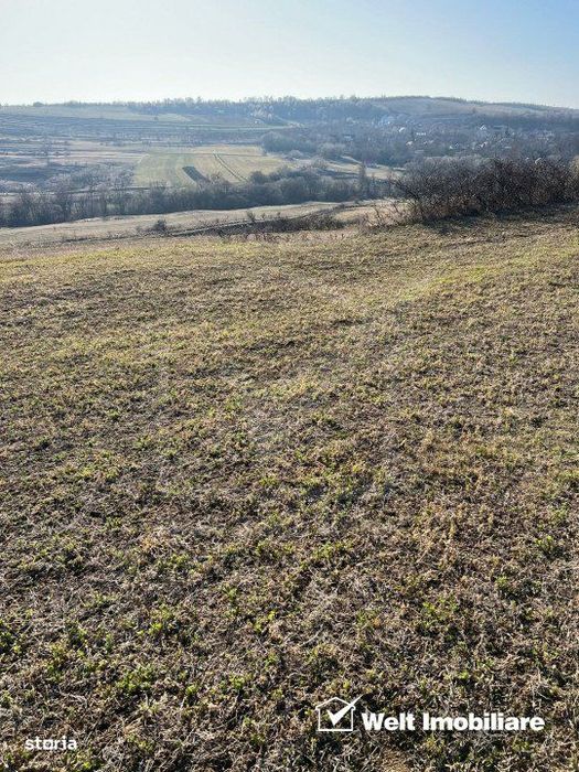 Teren extravilan in Saliste