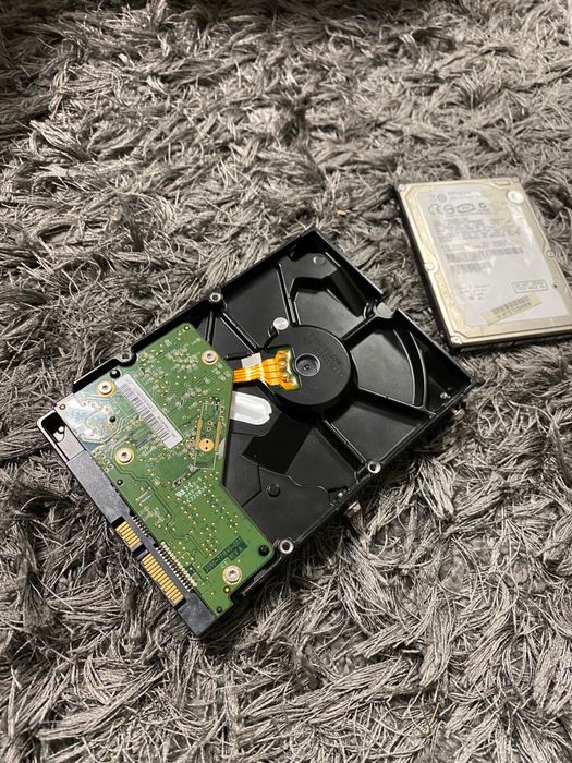 Hdd Western digial 500 gb