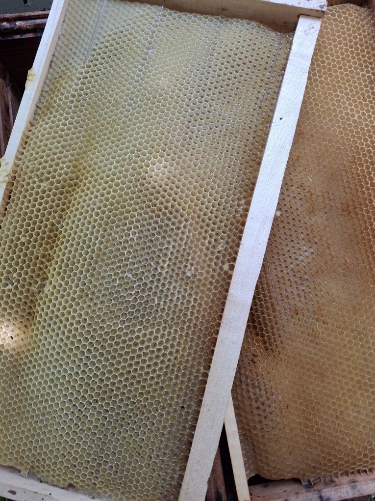Vând rame clădite pt cat 3/4.  Stupi
