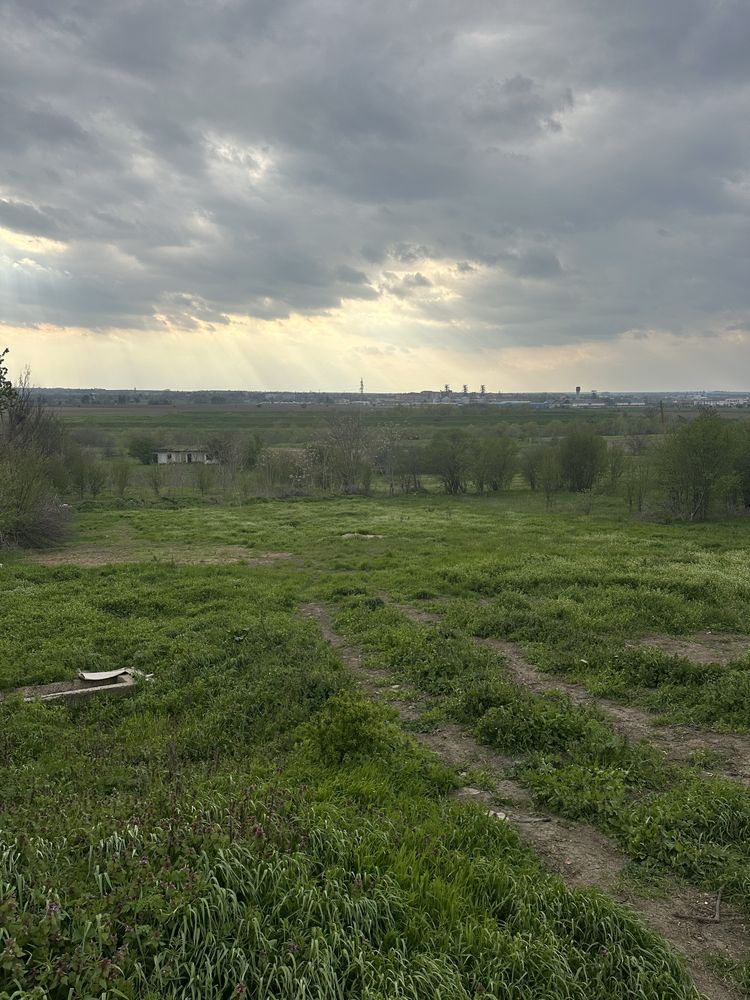 Дворно място в Опанец