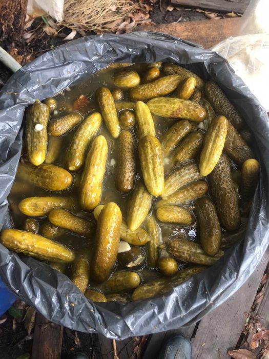 Muraturi autentice de Milisauti