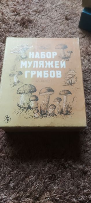 Набор муляжей грибов