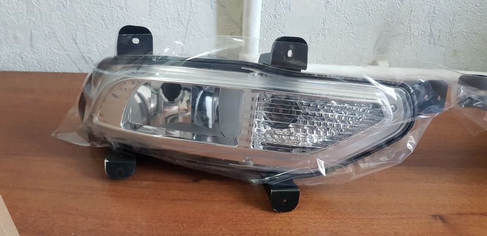 Жентра туманка. Туманний. Gentra tumanka.