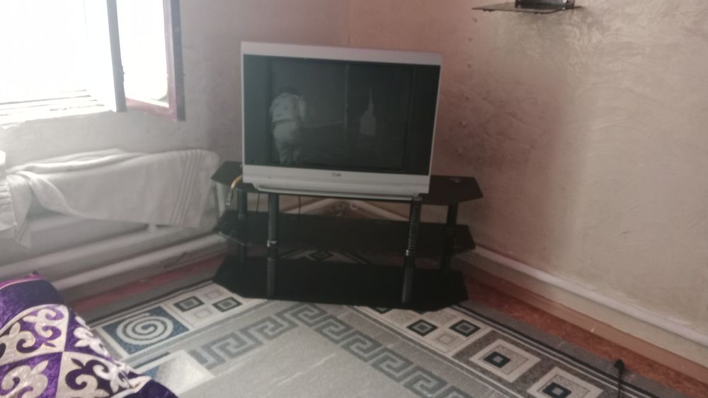 Телевизор- потсавник