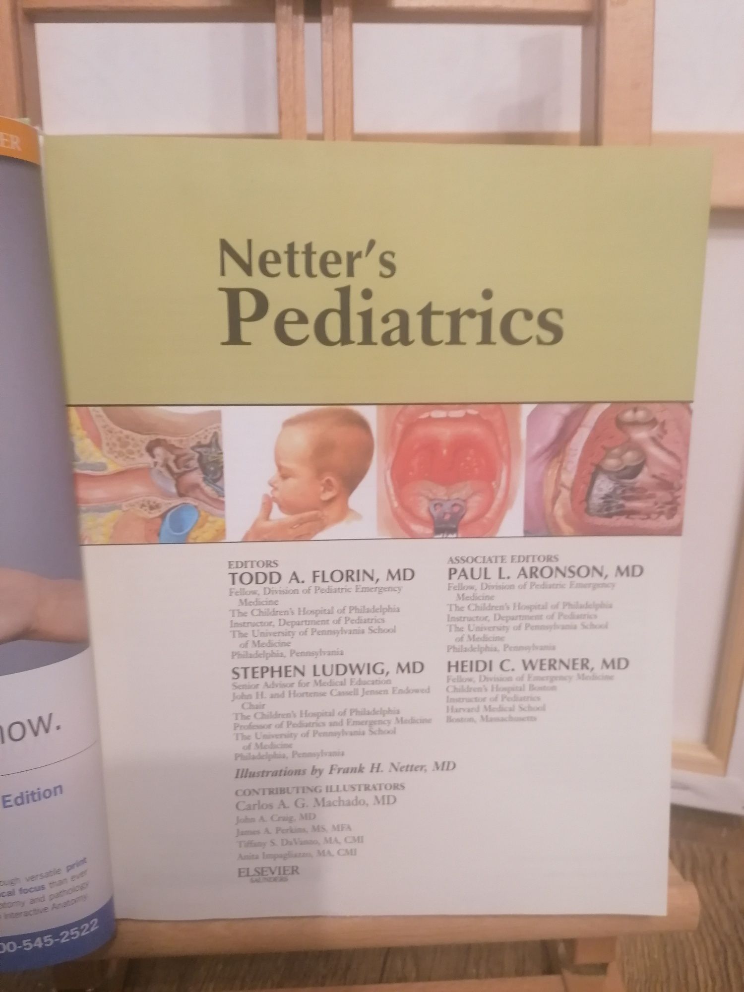 Manual medicina - Netter's  Pediatrics