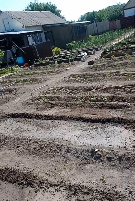 Продам 2 дачи на массиве «Солнечная долина»