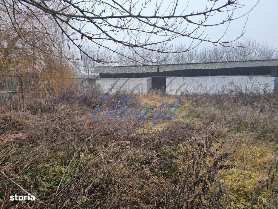 Hala 330 mp + Teren 1000 mp, Borsa, Cluj