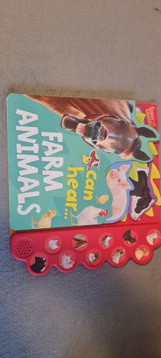 Salteluta activitati