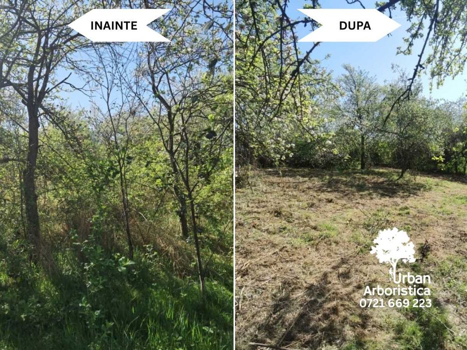 Defrișare Teren, Curățat Livada, Gradina - Cosit Tuns Gard Viu Brașov
