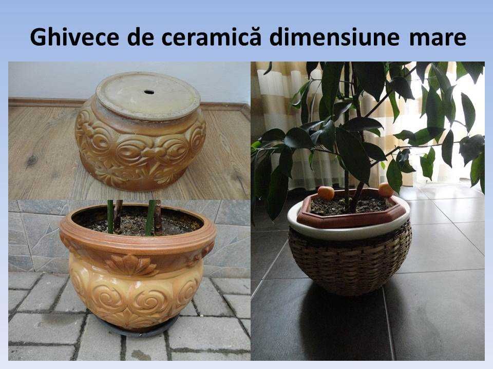 Ghivece din ceramica de  dimensiuni mari