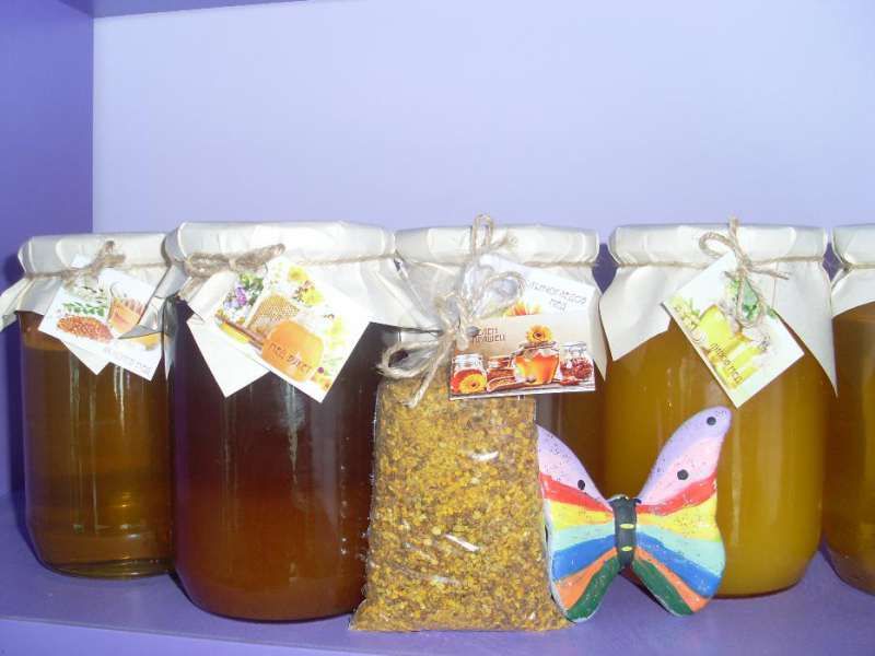 Продавам пчелен мед и прашец от района на село Радишево, Плевенско.