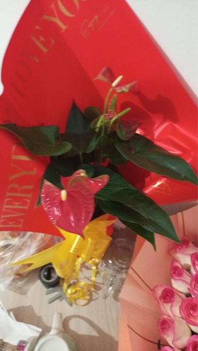 свежий бугн алнган гулдер