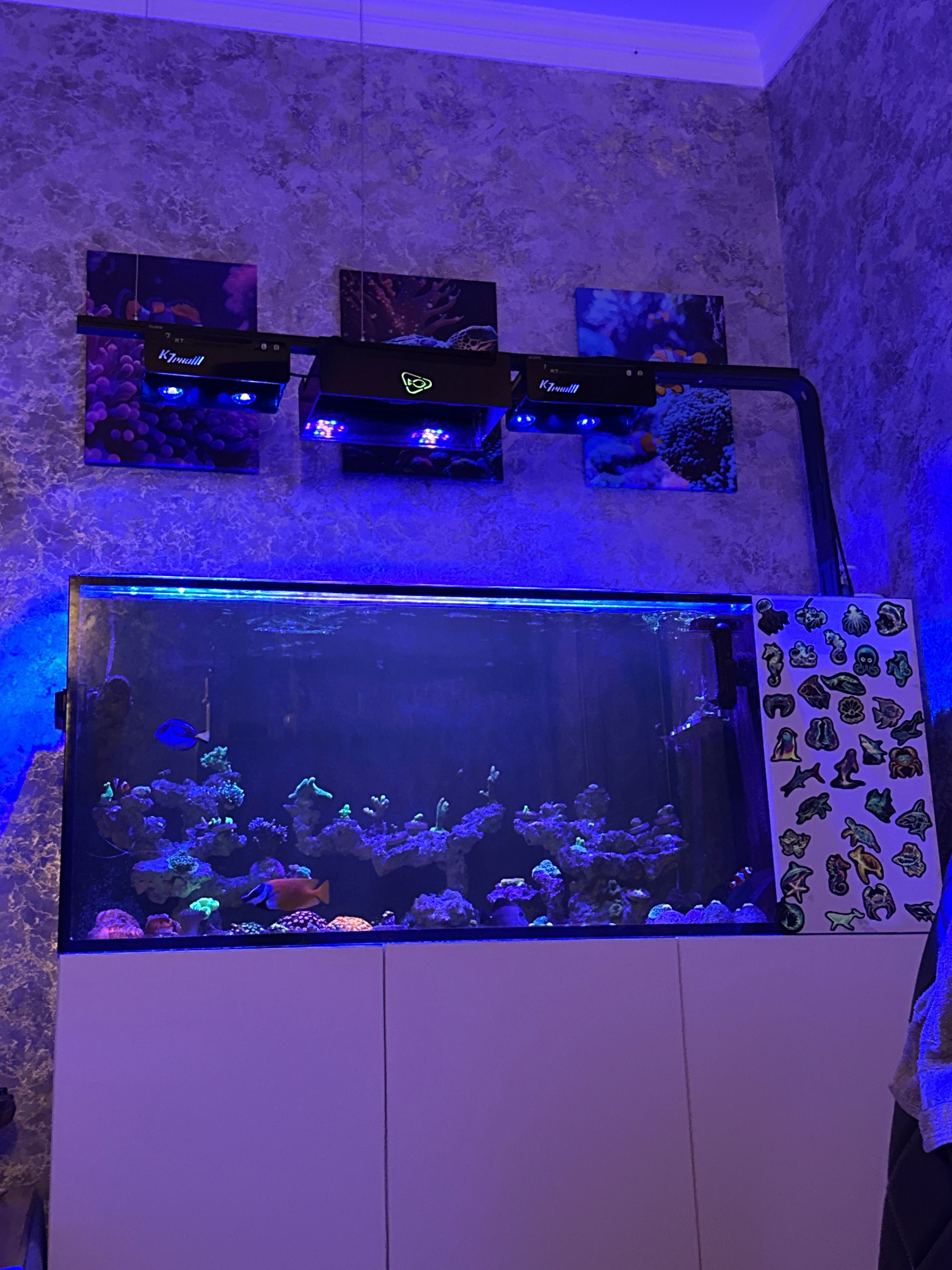 Ecotech radion xr30 g3 pro mobius version