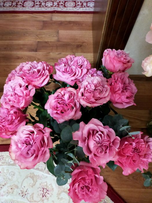 Красивые    розы