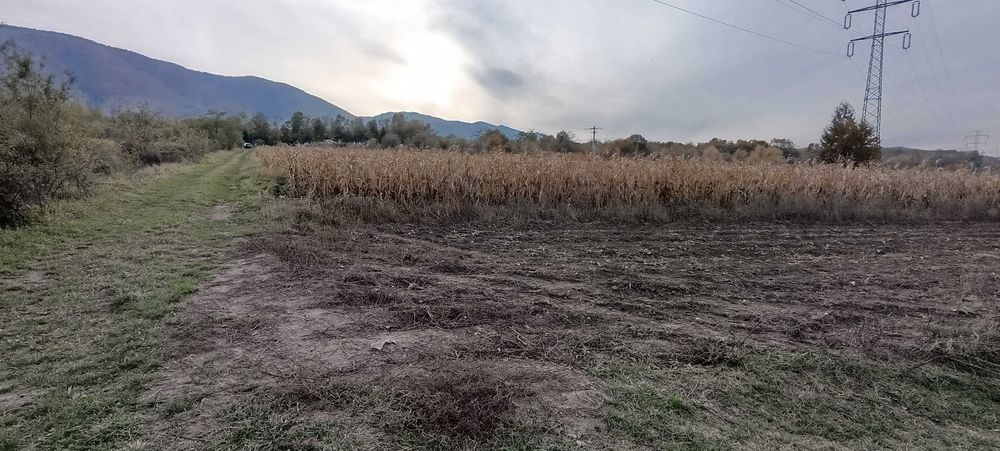 Teren extravilan Clopotiva