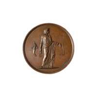 Medalie din bronz Comice Agricole De Fontenay Le Comte