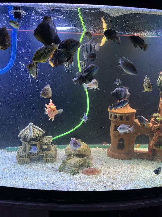 продается Аквариум 450лтр