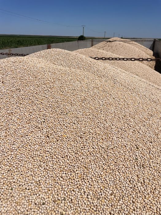 Mazare Salamanca 2025 C2