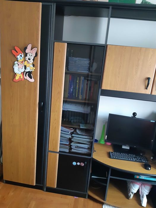 Vand mobila camera tineret/living