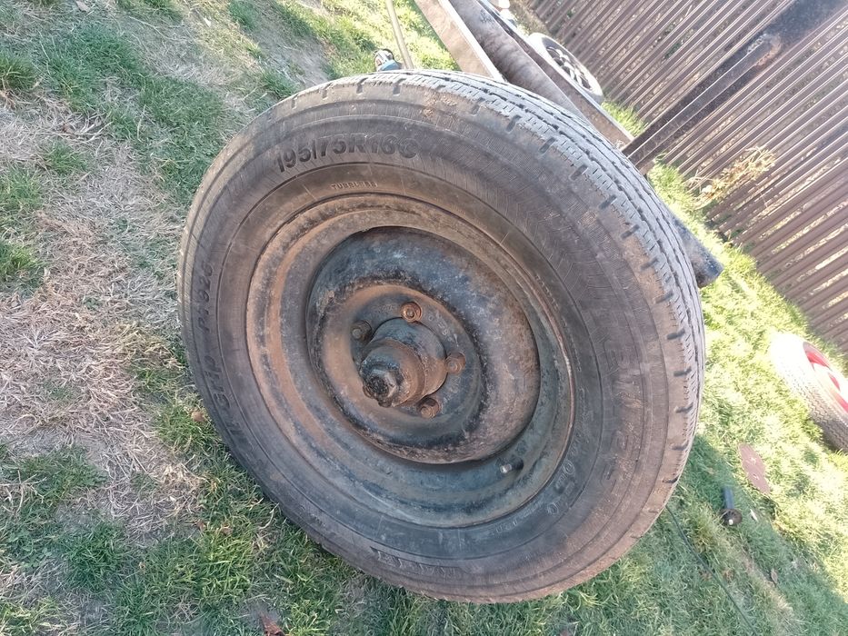 De vânzare 2 butuci!