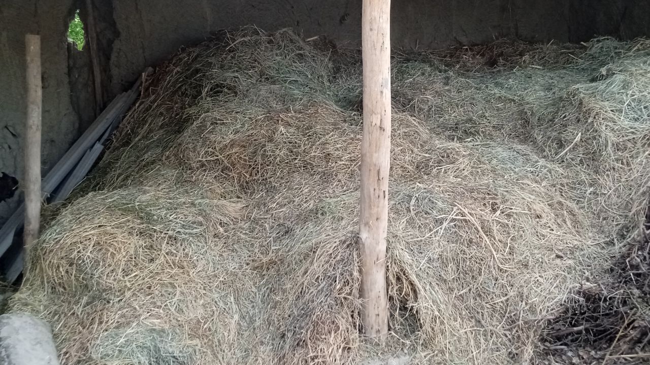 Хашак ут беда сотлади